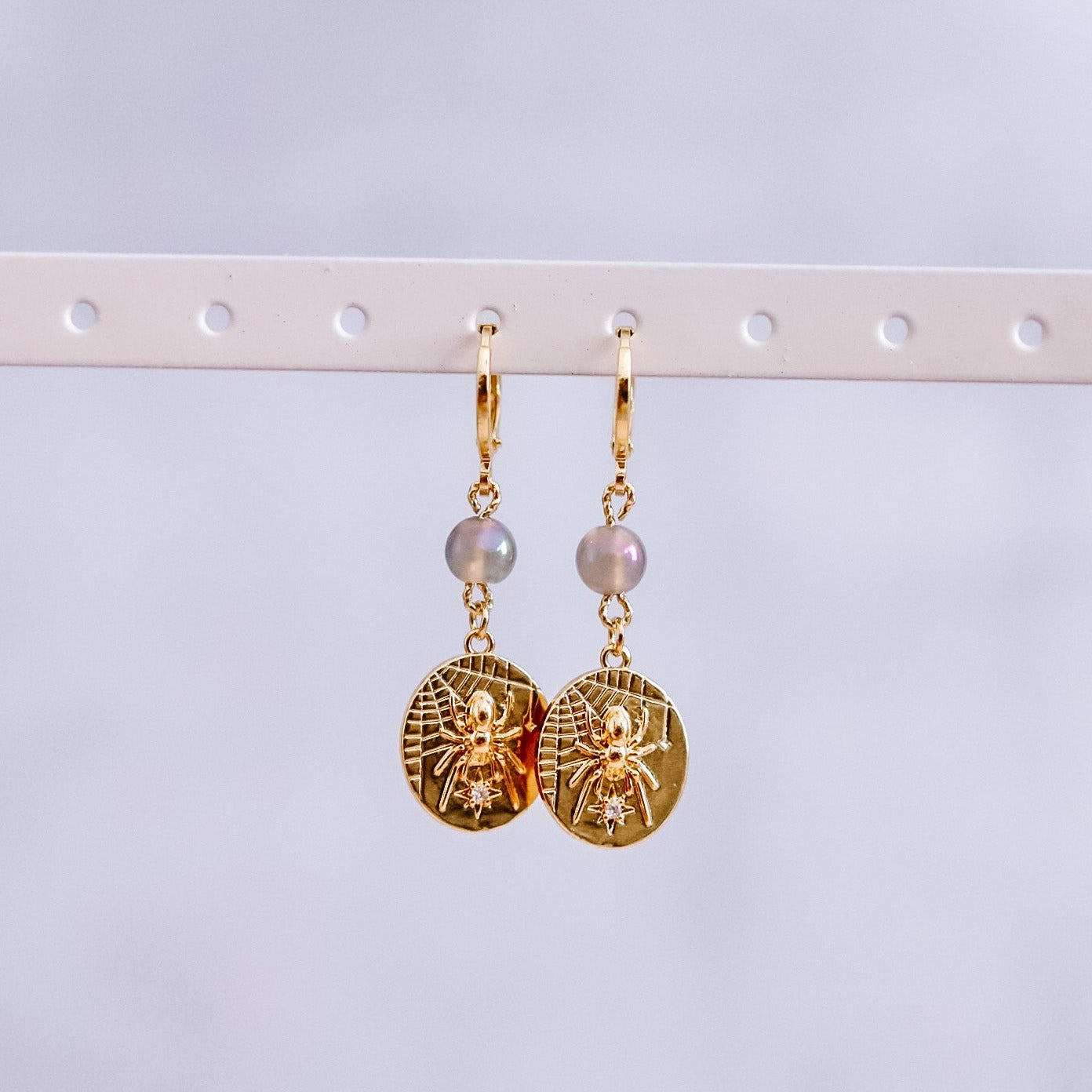 Spider & Web Earrings